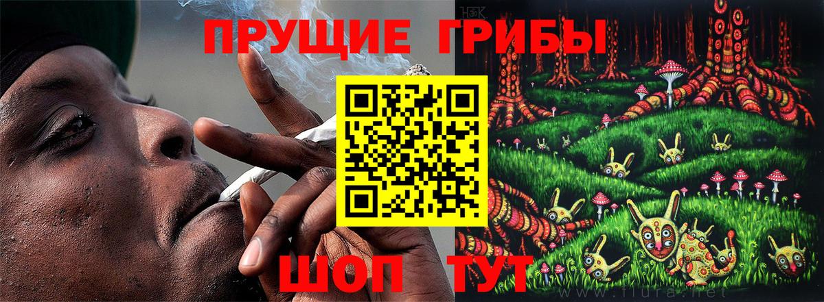 Галлюциногенные грибы прущие грибы  Галлюциногенные грибы мицелий  Урюпинск  купить   Вход с VPN 